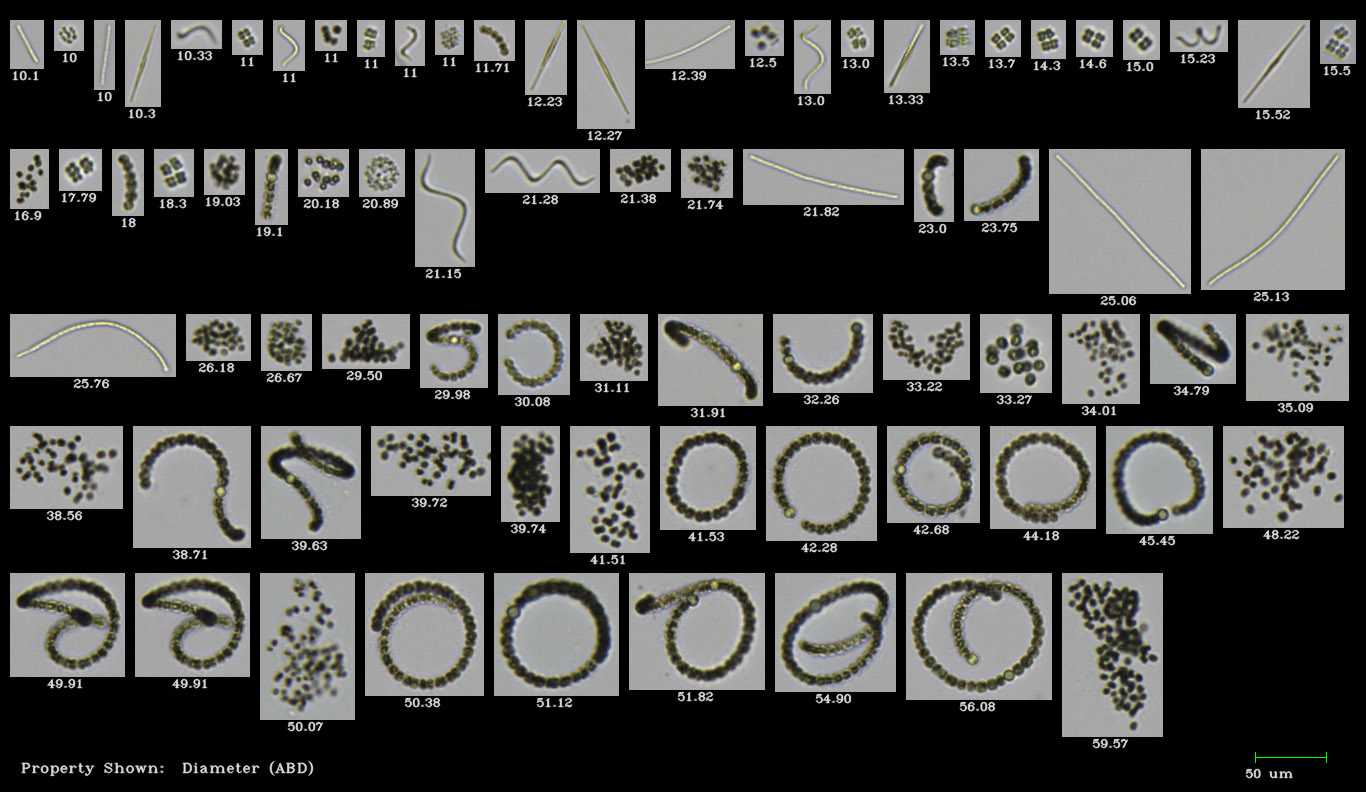 Additional product image 1